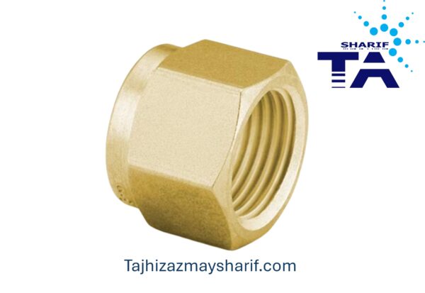 FTG SWG NUT 1/8 BRASS